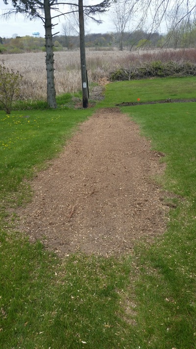 Stump Grinding - After